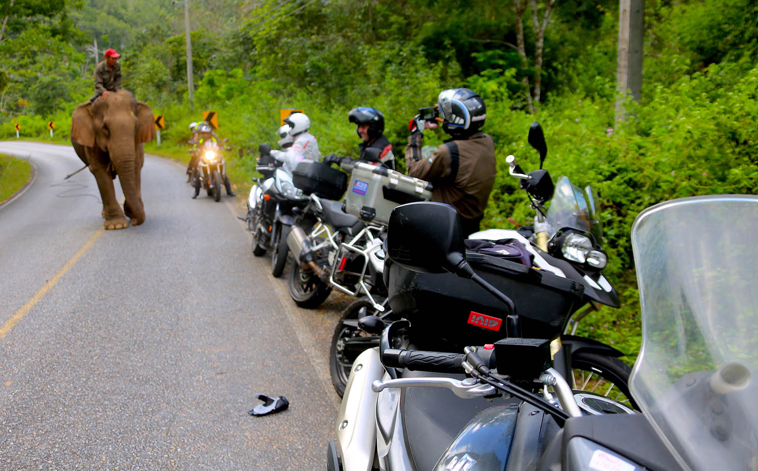 Tráfico motos con elefante