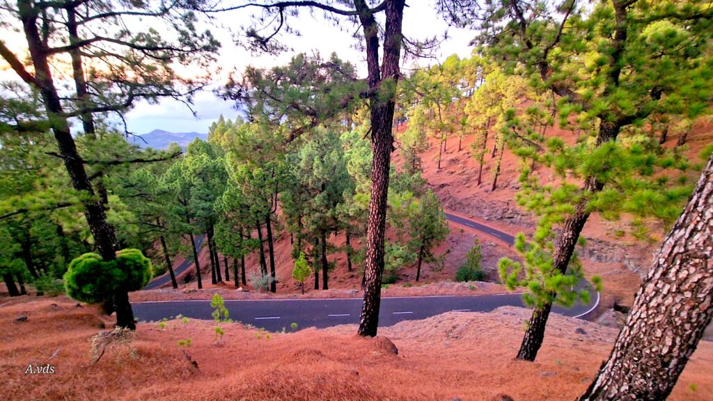 Carretera La Palma