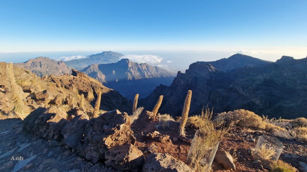 La Palma panorámica sur