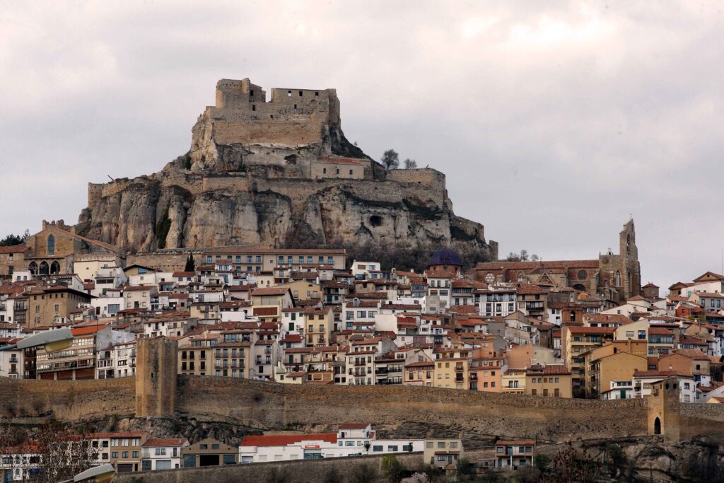 Morella